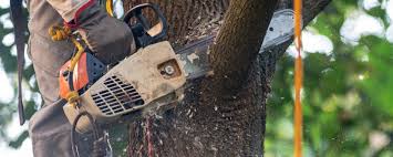 Mulching Services in Monarch Mill, SC