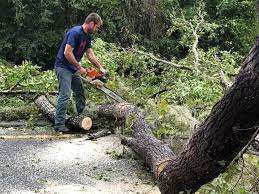 Best Emergency Tree Removal  in Monarch Mill, SC